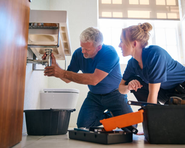 Best Commercial Plumbing Services  in Detroit, MI